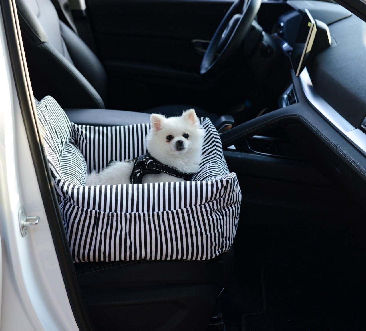 Car dog bed
